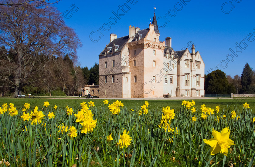 Brodie Castle Springtime UP280297JHP 
 Brodie Castle Spring Daffodils NTS Property Moray Scotland Foreground Flowers near Forres and Nairn in Morayshire Scottish Highlands is home of the Brodie family, the castle perhaps dates back as far as 1160 and came under attack from Montroses army but survived. Many additions were made subsequently and the collections of various items are extensive and of high quality. 
This became a National Trust for Scotland property in 1980 and is situated about 4.5 miles west of Forres and the grounds are open to the public all the year round. The castle is open April to October at various times. Any of my photographs are for scenic/tourist use only and cannot be used for product endorsement without the explicit permission of the NTS. Please contact their Edinburgh Head Office at Wemyss House, 28 Charlotte Square, Edinburgh, EH2 4ET. 
 Keywords: Scotland, Scottish, Moray, Morayshire, North, East, Highlands, NTS, history, 16th Century, tower house, gardens, walks, woodlands, spring, daffodils, landscape