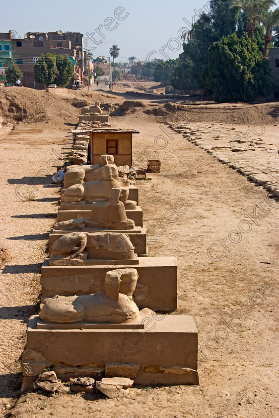 Luxor New Sphinxes Avenue 5626EG07JHP 
 Luxor Egypt Shinxes Avenue Karnak Recent Excavations Walk Upright Photo have started on the remains of covered part of the Luxor to Karnak avenue of sphinxes and by 2007 over sixty had been uncovered. They appeared to have been deliberately toppled in late Roman times and have been well preserved and many Roman relayed antiquities and buildings have been identified. Remains of an ancient stone road have also been found and a stela indicating the importance of a High Priest of Amun Ra called Bakenkhonsu which has also indicated new dating evidence for the reign of the Pharaoh Sethnakhte [Setnakhte] who ruled between Ramesses 11 and 111 for now it appears four years at least. 
 Keywords: Egypt, Egyptian, Luxor, Temple, East Bank, River Nile, Thebes, Karnak, holiday, upright, sphinxes, colonnade, avenue, modern, excavations, road, stela, toppled, history, rewriting, archaeology, ancient, Egyptology