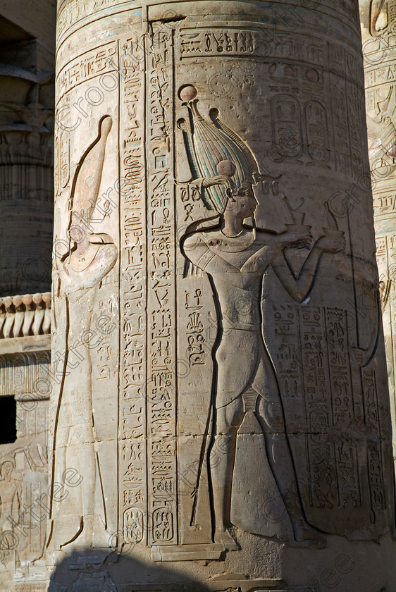 Kom OmboTemple EG052467JHP 
 Kom Ombo Ptolemaic Temple Nile Egypt Column Painted Pharaoh Offering is located just north of Aswan and a regular visit on all Nile Cruises, was principally built by Ptolemy V of Silsilah sandstone. Dedicated to two Gods – Sobek, the crocodile and Horus, the falcon and although it has been damaged over the years, mainly through slipping into the River Nile and some structural damage owing to earthquakes, there are still some wonderful colourful reliefs of the most detailed and delicate style. 
 Keywords: Egypt, East Bank, River Nile, Kom Ombo, Temple, hypostyle hall, columns, bas reliefs, hieroglyphs, cartouche, Atef, crown, striped, headdress, offering, coloured, colored, colours, colors, Silsilah, sandstone, upright, history, archaeology, ancient, Egyptian, Egyptology, Ptolemaic, Ptolemy, Osiris, carvings, detailed, delicate, beautiful, fine