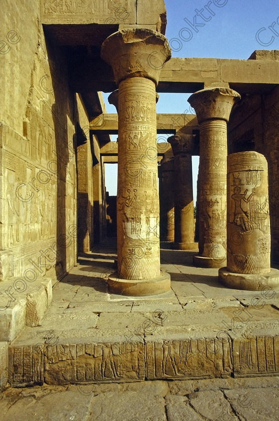 Kom Ombo EG204316jhp 
 Kom Ombo ruined Temple Nile Egypt columned hall ceiling supports carvings of this beautiful ruined temple just north of Aswan and a regular visit on all Nile Cruises, was principally built by Ptolemy V of Silsilah sandstone. Dedicated to two Gods  Sobek, the crocodile and Horus, the falcon and although it has been damaged over the years, mainly through slipping into the River Nile and some structural damage owing to earthquakes, there are still some wonderful colourful reliefs of the most detailed and delicate style. This trip was special for me in that I got special permission to climb up the back of the temple on the hill behind and match a view I had on a Victorian albumen print; the local Police Chief had to be involved and thanks to a good Kuoni Guide he agreed for me to be accompanied by a policemen as security was still a big thing after the 1997 attacks at Luxor. Unfortunately in the excitement I had forgot to adjust my ASA rating for Velvia and took the photos based on 400ASA-the film maws later pushed to 200asa so there is some increase in grain structure, not a feature of Velvia generally. On this visit some cleaning and restoration was being done to the many painted bas reliefs on the columns-hence the scaffolding and the sun umbrella but the bonus was the reliefs looked particularly vibrant. The time of day also meant some of the museum blocks with deep cut carvings were ideal to photograph as the shadows gave greater emphasis to the excellent cut marks of some iconic hieroglyphic symbols. 
 Keywords: Egypt, East Bank, River Nile, Kom Ombo, Temple, summer, morning, hypostyle hall, pylon, columns, bas, reliefs, restoration, cleaning, conservation, coloured, colored, colours, colors, Silsilah, sandstone, landscape, upright, history, archaeology, ancient, Egyptian, Egyptology, crocodiles, Ptolemaic, Ptolemy, Horus, Haroeris, Harwer, Sobek, Hathor, carvings, detailed, delicate, beautiful, fine, Velvia, slide, film, scans, scan, scanned, 35mm, Nikon, FM, manual, July, 2000