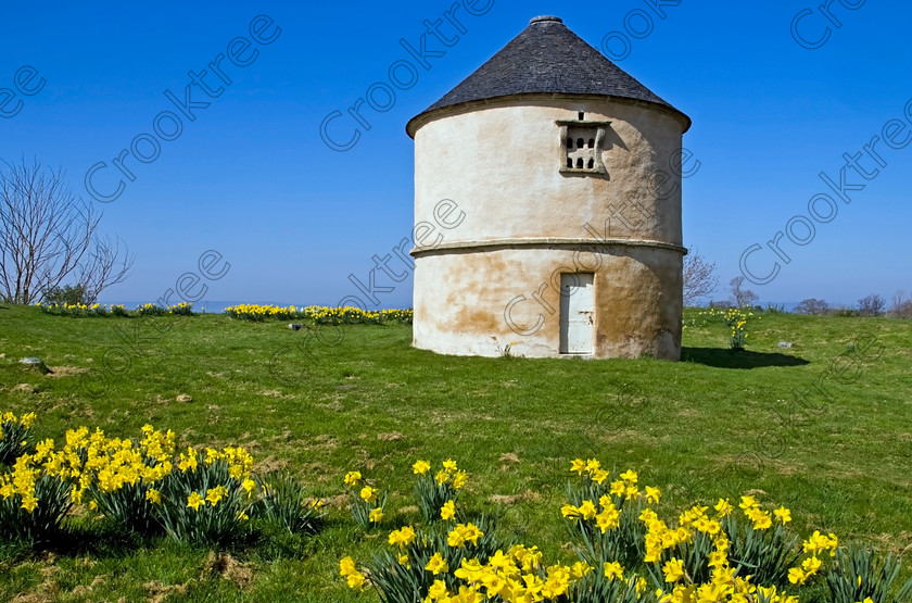 Auldearn Doocot Spring UP280346jhp 
 Scotland Nairnshire Moray Auldearn Doocot Dovecot pigeon loft spring yellow daffodils is situated in the village of Auldearn by the A96 near Nairn. The 17th Century Doocot or pigeon loft was bequeathed to the NTS by the owner Boath and is located on a motte, the site of a 12th century Royal Castle called Eren, one of the strongholds for the Scottish Kings of Moray. It was later destroyed but the site was the credited as where the Royal Standard was raised by the Marquis of Montrose in May 1645 when his army defeated the Covenant forces at the Battle of Auldearn. 
 Keywords: Scotland, Scottish, Moray, Morayshire, North, East, Highlands, Auldearn, Dovecot, pigeon, loft, Boath, NTS, Royal, Castle, Eren, motte, Scottish, Kings, destroyed, battle, Brodie, Castle, history, spring, daffodils, yellow, flowers, sunny, sunshine, sun, shining, green, grass, landscape