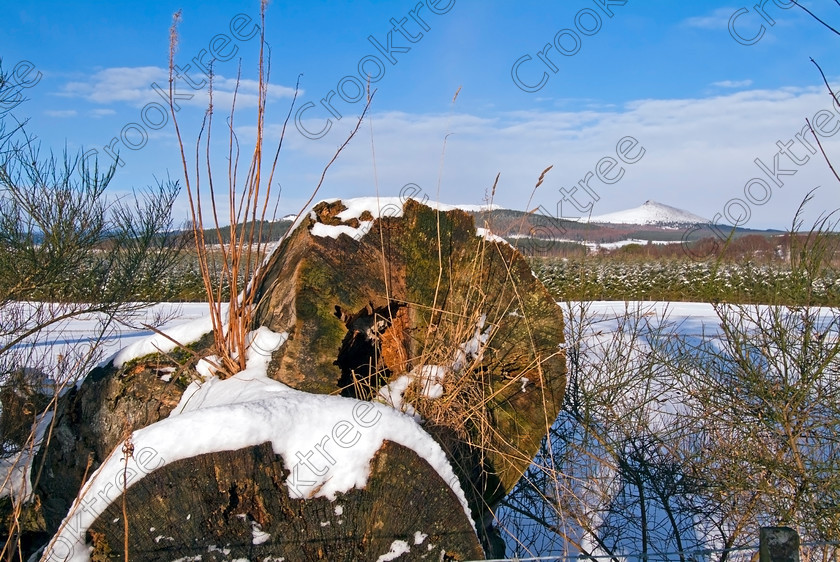Snow Log Coullie TO157028JHP 
 Snow Bennachie Donside Log Tree Stump Coullie Kemnay Road Garioch Aberdeenshire Scottish by the Kemnay to Chapel of Garioch road leading to Monymusk or heading northwards over the eastern slop of Bennachie the summit of which is to the right of the tree stump. 
 Keywords: Scotland, Scottish, Grampian, Aberdeenshire, River, Don, Donside, Coullie, Kemnay, road, Bennachie, hill, landscape, winter, snow, forests, tree, trunk, stump