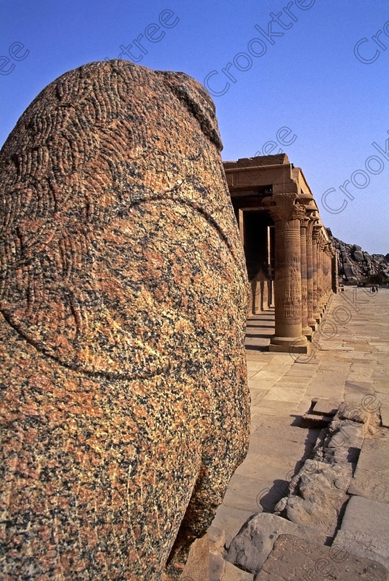 Philae Temple EG204810jhp 
 Philae Temple court colonnade first Pylon lion statue granite Ancient Egyptian Isis cult Aswan island was established late in the history of Egypt being mainly Ptolemaic, eventually closing as a religious site around 550AD and being located on an island had remained remarkably untouched, partly as it was submerged when the Nile flooded after the construction of the first dam. Being relocated onto the Island of Agilkia on the River Nile near Aswan, to save it being flooded permanently after the completion of the High Dam, it is perhaps one of the loveliest and most complete classic Egyptian temples to visit with a peaceful spirituality lacking in many of the land based sites mainly because of being isolated on an island from modern day noise and often being less crowded as less accessible. It also has a very delightful Light and Sound show, partly a walk through to the Sanctuary followed by a sit down session just past the Kiosk of Trajan. 
 Keywords: Egypt, Aswan, River Nile, Nubia, Philae Temple, island, pylons, carvings, Ptolemy, Ptolemaic, Isis, cult, relocated, rescued, High Dam, landscape, upright, history, ancient, Egyptian, antiquity, entrance, pylon, first, Ptolemy, second, granite, stele, year, 24, Philometer V11, mammisi, birth, house, chapel, kiosk, Trajan, lion, colonnade, columns, Roman, archaeology, Egyptology, Agilkia, Island, gate, Diocletian, Augustus, temple, Hathor, steps, water, motorboat, water, beautiful, serene, peaceful, oleander, flowering, flowers, July, 2000, slide, film, Fuji, Velvia, Nikon, FM2, FG20, manual, 35mm, scanned, scan