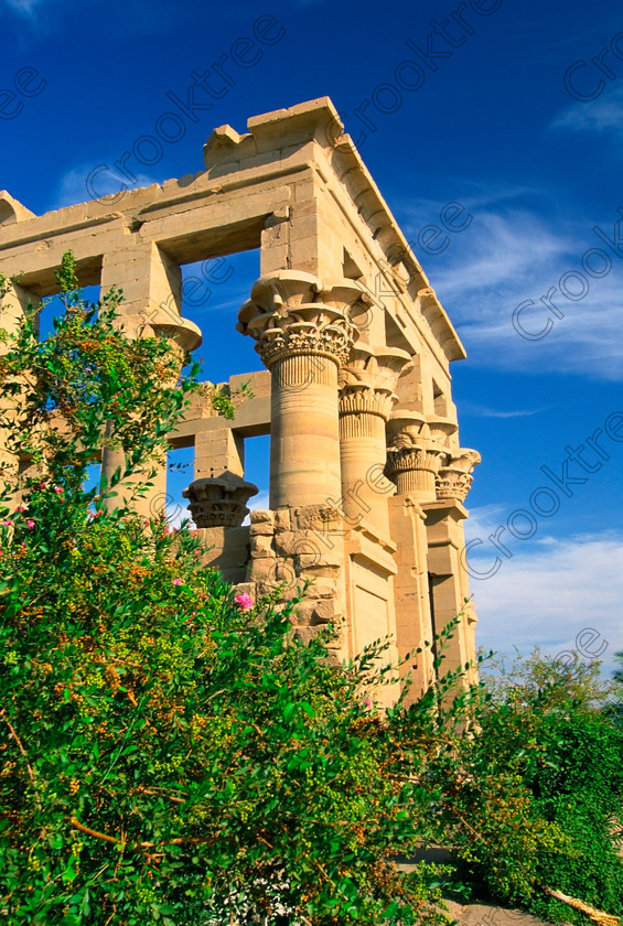 Trajans Kiosk Philae EG022312JHP 
 Ancient Egyptian Philae Temple Roman Trajan Kiosk Capitals Floral home of the Goddess Isis was established late in the history of Egypt being mainly Ptolemaic, eventually closing as a religious site around 550AD and being located on an island had remained remarkably untouched. Being relocated onto the Island of Agilkia on the River Nile near Aswan, to save it being flooded after the completion of the High Dam, it is perhaps one of the loveliest and most complete classic Egyptian temples to visit with a peaceful spirituality lacking in many of the land based sites. 
 Keywords: Egypt, Aswan, River Nile, Nubia, Philae Temple, island, temple, Ptolemaic, Trajan, Roman, kiosk, oleander, flowers, capitals, floral, upright, history, ancient, Egyptian, antiquity, archaeology, Egyptology, Agilkia Island, cirrus, clouds, blue, sky, slide, scanned