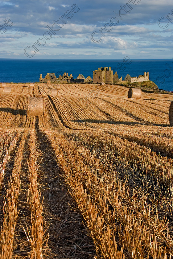 Dunnottar Castle Scotland VS2974JHP 
 Dunnottar Castle ruined Scottish fortress, south of Stonehaven on the east coast of Aberdeenshire here viewed from a nearby clifftop field after the summer harvest has been collected.
As a private property these photographs should only be used for tourist/scenic/editorial purposes. If required for commercial promotion then permission should be obtained from the owners by contacting The Factor; Dunecht Estates Office; Dunecht; Skene; AB32 7AX. Telephone: 01330 860223. 
 Keywords: Scotland, Scottish, Aberdeenshire, North, east, sea, Stonehaven, Dunnottar, Castle, upright, spectacular, harvest, stubble, field, straw, bales, coast, coastal, cliffs, rocks, headland, bay, Haven, Benholm, Lodging, keep, tower, curtain, portcullis, vaulted, pends, arched, window, stonework, weathered, erosion, tourism, visitors, conglomerate, pudding, stone, Dun, Fother, 14th, century, Marischal, storehouse, smithy, bakery, brewery, stables, guardhouse, quadrangle, well, mansion, chambers, chapel, Whigs, Vault, prison, dungeon, siege, Honours, jewels, Covenanters, exhibition