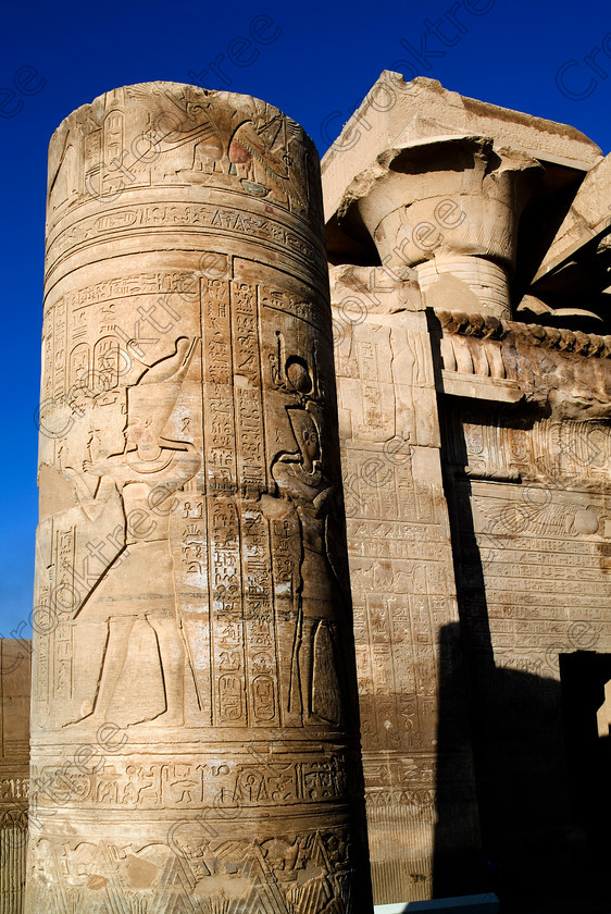 Kom Ombo Temple EG052479JHP 
 Kom Ombo Egypt Ptolemy Pharaoh Column Carving Crown Double Pschent on the River Nile just north of Aswan and a regular visit on all Nile Cruises, was principally built by Ptolemy V of Silsilah sandstone. Dedicated to two Gods – Sobek, the crocodile and Horus, the falcon and although it has been damaged over the years, mainly through slipping into the River Nile and some structural damage owing to earthquakes, there are still some wonderful colourful reliefs of the most detailed and delicate style. 
 Keywords: Egypt, East Bank, River Nile, Kom Ombo, Temple, hypostyle hall, columns, bas reliefs, hieroglyphs, cartouche, coloured, colored, colours, colors, Silsilah, sandstone, upright, history, archaeology, ancient, Egyptian, Egyptology, crocodiles, Ptolemaic, Ptolemy, double crown, pschent, Hathor, carvings, detailed, delicate, beautiful, fine