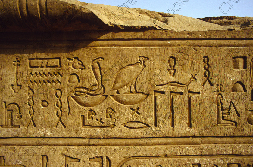 Kom Ombo EG204323jhp 
 Kom Ombo Temple Egypt hieroglyphs carvings blocks Wadjet Nekhet snake vulture of this beautiful ruined temple just north of Aswan and a regular visit on all Nile Cruises, was principally built by Ptolemy V of Silsilah sandstone. Dedicated to two Gods  Sobek, the crocodile and Horus, the falcon and although it has been damaged over the years, mainly through slipping into the River Nile and some structural damage owing to earthquakes, there are still some wonderful colourful reliefs of the most detailed and delicate style. This trip was special for me in that I got special permission to climb up the back of the temple on the hill behind and match a view I had on a Victorian albumen print; the local Police Chief had to be involved and thanks to a good Kuoni Guide he agreed for me to be accompanied by a policemen as security was still a big thing after the 1997 attacks at Luxor. Unfortunately in the excitement I had forgot to adjust my ASA rating for Velvia and took the photos based on 400ASA-the film maws later pushed to 200asa so there is some increase in grain structure, not a feature of Velvia generally. On this visit some cleaning and restoration was being done to the many painted bas reliefs on the columns-hence the scaffolding and the sun umbrella but the bonus was the reliefs looked particularly vibrant. The time of day also meant some of the museum blocks with deep cut carvings were ideal to photograph as the shadows gave greater emphasis to the excellent cut marks of some iconic hieroglyphic symbols. 
 Keywords: Egypt, East Bank, River Nile, Kom Ombo, Temple, summer, morning, hypostyle hall, pylon, columns, bas, reliefs, restoration, cleaning, conservation, coloured, colored, colours, colors, Silsilah, sandstone, landscape, Wadjet, snake, Goddess, Nekhbet, vulture, Two, Ladies, Proectors, Lands history, archaeology, ancient, Egyptian, Egyptology, crocodiles, Ptolemaic, Ptolemy, Horus, Haroeris, Harwer, Sobek, Hathor, carvings, detailed, delicate, beautiful, fine, Velvia, slide, film, scans, scan, scanned, 35mm, Nikon, FM, manual, July, 2000