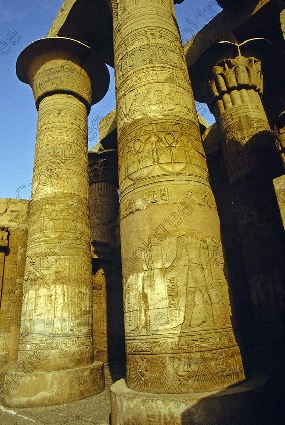 Kom Ombo EG204318jhp 
 Kom Ombo morning Temple Nile Egypt columns large capitals floral hall carvings of this beautiful ruined temple just north of Aswan and a regular visit on all Nile Cruises, was principally built by Ptolemy V of Silsilah sandstone. Dedicated to two Gods  Sobek, the crocodile and Horus, the falcon and although it has been damaged over the years, mainly through slipping into the River Nile and some structural damage owing to earthquakes, there are still some wonderful colourful reliefs of the most detailed and delicate style. This trip was special for me in that I got special permission to climb up the back of the temple on the hill behind and match a view I had on a Victorian albumen print; the local Police Chief had to be involved and thanks to a good Kuoni Guide he agreed for me to be accompanied by a policemen as security was still a big thing after the 1997 attacks at Luxor. Unfortunately in the excitement I had forgot to adjust my ASA rating for Velvia and took the photos based on 400ASA-the film maws later pushed to 200asa so there is some increase in grain structure, not a feature of Velvia generally. On this visit some cleaning and restoration was being done to the many painted bas reliefs on the columns-hence the scaffolding and the sun umbrella but the bonus was the reliefs looked particularly vibrant. The time of day also meant some of the museum blocks with deep cut carvings were ideal to photograph as the shadows gave greater emphasis to the excellent cut marks of some iconic hieroglyphic symbols. 
 Keywords: Egypt, East Bank, River Nile, Kom Ombo, Temple, summer, morning, hypostyle hall, pylon, columns, bas, reliefs, restoration, cleaning, conservation, coloured, colored, colours, colors, Silsilah, sandstone, landscape, upright, history, archaeology, ancient, Egyptian, Egyptology, crocodiles, Ptolemaic, Ptolemy, Horus, Haroeris, Harwer, Sobek, Hathor, carvings, detailed, delicate, beautiful, fine, Velvia, slide, film, scans, scan, scanned, 35mm, Nikon, FM, manual, July, 2000