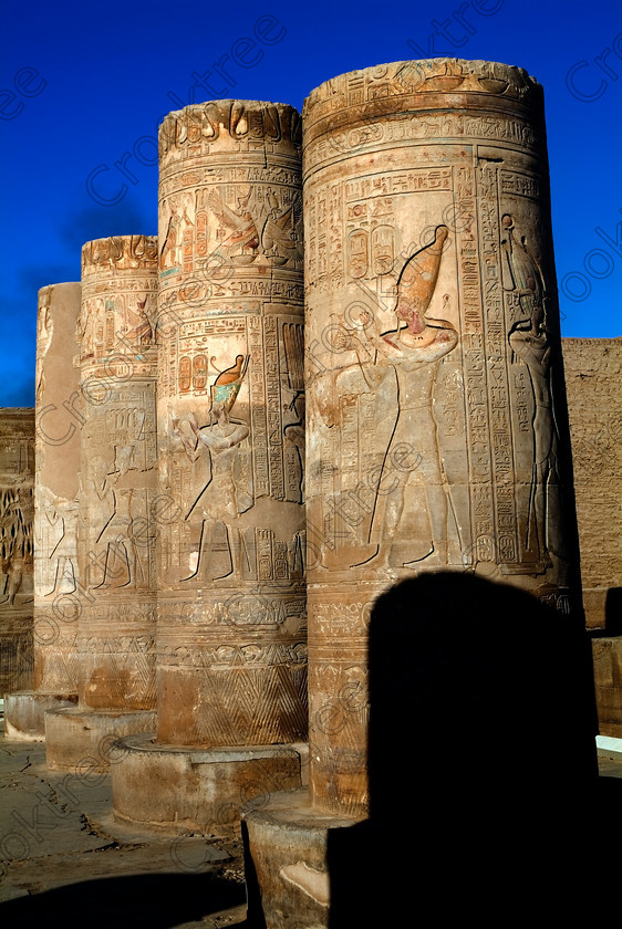 Kom Ombo Columns EG052465JHP 
 Kom Ombo Egypt Ptolemy Pharaoh Carvings Columns Colours Sunshine Temple by the River Nile just north of Aswan and a regular visit on all Nile Cruises, was principally built by Ptolemy V of Silsilah sandstone. Dedicated to two Gods – Sobek, the crocodile and Horus, the falcon and although it has been damaged over the years, mainly through slipping into the River Nile and some structural damage owing to earthquakes, there are still some wonderful colourful reliefs of the most detailed and delicate style. 
 Keywords: Egypt, East Bank, River Nile, Kom Ombo, Temple, hypostyle hall, pylon, columns, bas reliefs, coloured, colored, colours, colors, Silsilah, sandstone, upright, history, archaeology, ancient, Egyptian, Egyptology, Ptolemaic, Ptolemy, Horus, Haroeris, Harwer, Sobek, Hathor, carvings, detailed, delicate, beautiful, fine