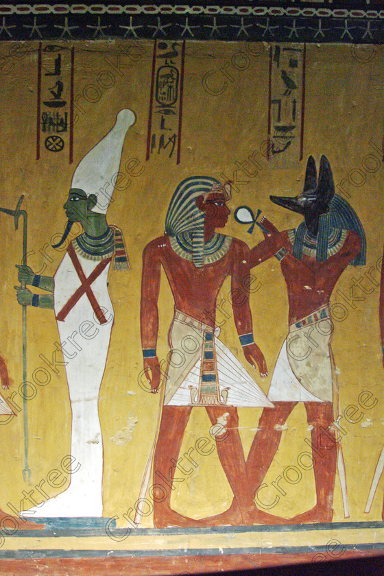 Valley Kings EG0213060jhp 
 Egypt Valley Kings Luxor Thutmose Pharaoh Tomb Osiris Anubis in the Valley of the Kings on the West Bank of the River Nile at Luxor which was robbed in antiquity and later restored by Horemheb through his official Maya. In the Tomb-Chamber is a red granite sarcophagus with still very brilliant colourful decoration as illustrated in the photo of the Goddess Nephthys.
Thanks to the capability of the modern digital camera and adjustments in Photoshop reasonably accurate colours can be exhibited of tomb paintings lit by low level artificial light when tripods and flash are not allowed such as the head of Anubis. This was taken before the current ban on tomb photography was introduced when you could purchase a ticket to photograph in two tombs in 2002. Unfortunately most of the photos of the painting had to be taken through Perspex which diminishes their quality as it obvious in several cases. 
 Keywords: Egypt, Luxor, West Bank, Thebes, Theban, Valley Kings, pharaoh, Tuthmosis, Thutmose, 1V, tomb, KV43, upright, Osiris, bearded, hedjet, white, crown, was, septer, ankh, Anubis, Hathor, jackal, head, painting, colourful, colorful, colours, colors, black, yellow, white, necklace, bright, ancient, Egyptian, archaeology, Egyptology, hieroglyphics, hieratic, writing, Maya, hieroglyphs, restoration, text, death, burial, Nut, nightsky, mythology, afterlife, sarcophagus, Nephthys, out-stretched, granite, chamber, antechamber, interiors, austere, undecorated, columns, stars, ceiling, history, hieroglyphs