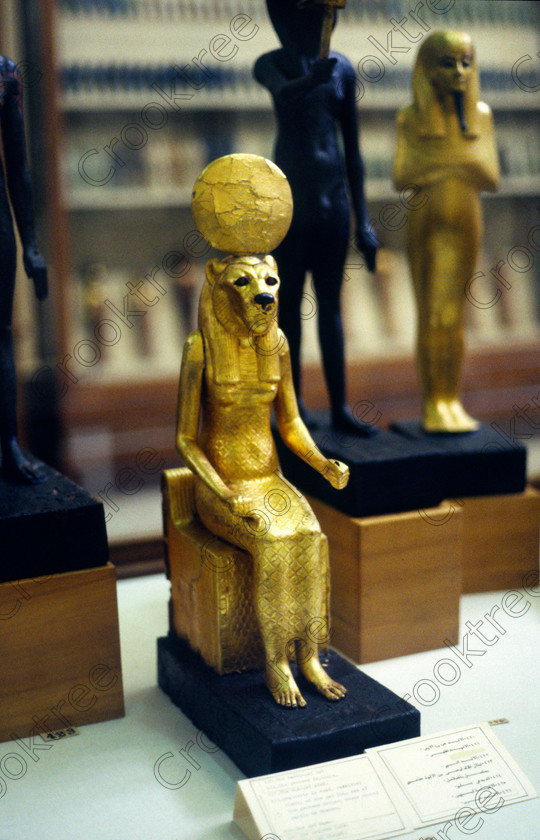 Tut Golden Lioness EG11703JHP 
 Egyptian Cairo Museum Tutankhamun Exhibition seated gold Sekhmet lioness goddess from his Luxor Tomb in the prime antiquities collection in Cairo taken during visits between 1994 and 1996 when photography was allowed albeit without flash and tripod. None is of studio quality, being handheld with existing, usually extremely poor light and using slide film, pushed Fuji 400asa to get a suitable aperture and shutter speed. Most of the photos are from the Tutankahum exhibits while the rest are items that interested me as I explored this wonderful and extensive collection, requiring many more hours if not days and is only hinted at during the usual one or two hour visit made on a package tour. 
 Keywords: Egypt, Cairo, Egyptian, Museum, Tutankhamun, golden, Goddess, lioness, Sekhmet, sakhmet, gilded, Tut, collection, upright, ancient, antiquity, antiquities, exhibit