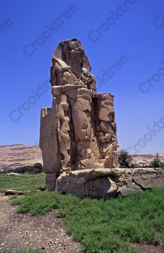 Colossi Memnon EG206425jhp 
 Colossi Memnon statue seated summer Luxor Egypt framed blue sunshine that are the most famous remains of Amenhotep's mortuary temple on the northern side of the approach road for the Valley of the Kings, Queens and all the other main West Bank sites. It is the visitors first site of major impact, not far from the main ticket office but is usually visited as a photo opportunity on leaving - recent excavations of the site are finding many hidden buildings and artefacts as well as defining the whole of the remains of the temple complex. 
 Keywords: Egypt, Egyptian, Luxor, West, Bank, Thebes, Theban, hills, fields, River, Nile, landscape, upright, history, archaeology, ancient, Egyptology, Amenhotep, Amenophis, Pharaoh, Tiye, Queen, Mother, mortuary, temple, Colossi, Memnon, seated, statues, side, panels, Union, Upper, Lower, earthquake, damaged, repairs, Severus, blue, sky, sunny, sunshine, roadside, coachstop, excavations, 2000, July, 35mm, Velvia, slides, film, scanned, scan, camera, Nikon, FM2