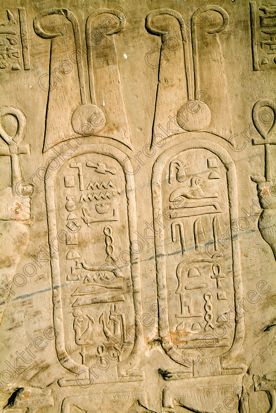 Kom Ombo Cartouche EG052498JHP 
 Egyptian Kom Ombo Ptolemy Five Temple Cartouche Detail Bas Relief Carving on the River Nile just north of Aswan and a regular visit on all Nile Cruises, was principally built by Ptolemy V of Silsilah sandstone. Dedicated to two Gods Sobek, the crocodile and Horus, the falcon and although it has been damaged over the years, mainly through slipping into the River Nile and some structural damage owing to earthquakes, there are still some wonderful colourful reliefs of the most detailed and delicate style. 
 Keywords: Egypt, East Bank, River Nile, Kom Ombo, Temple, hypostyle hall, pylon, columns, bas reliefs, coloured, colored, colours, colors, Silsilah, sandstone, cartouche, upright, history, archaeology, ancient, Egyptian, Egyptology, crocodiles, Ptolemaic, Ptolemy, Horus, Haroeris, Harwer, Sobek, Hathor, carvings, detailed, delicate, beautiful, fine