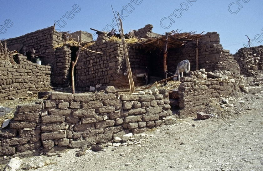 Luxor West Bank EG006718jhp 
 Egypt Luxor West Bank Qurnet Murai Tombs Nobles mudbrick houses donkeys in an area that has undergone a huge change in recent years and domestic dwellings like this no longer exist. Through the work of the SCA the old houses of this area are being demolished and the modern occupants are be rehoused on new houses. After the removal of most of the houses an extensive exploration and survey of the area amongst the Tombs of the Nobles will be undertaken to identify any unidentified tombs while the various entrances to the existing tombs are being refurbished to make the area more accessible to visitors. Some of the better houses will be retained as part of a UNESCO sponsored museum as part of the history and occupation of the West Bank. 
 Keywords: Egypt, Egyptian, Luxor, Thebes, Theban, West, Bank, Old, Gurna, Qurna, Qurnah, village, relocation, removal, demolished, destruction, excavation, remapping, Qurnat, MuraI, Shaykh, Abd al-Qurnah; Sheikh Abd, el-Qurna, Muslim, saint, tomb, chapel, necropolis, Tombs, Nobles, landscape, mudbrick, houses, donkeys, domestic, homes, hills, sand, rubble, stones, limestone, 2000, 35mm, slide, film, Nikon, FM2, manual, scanned, scan