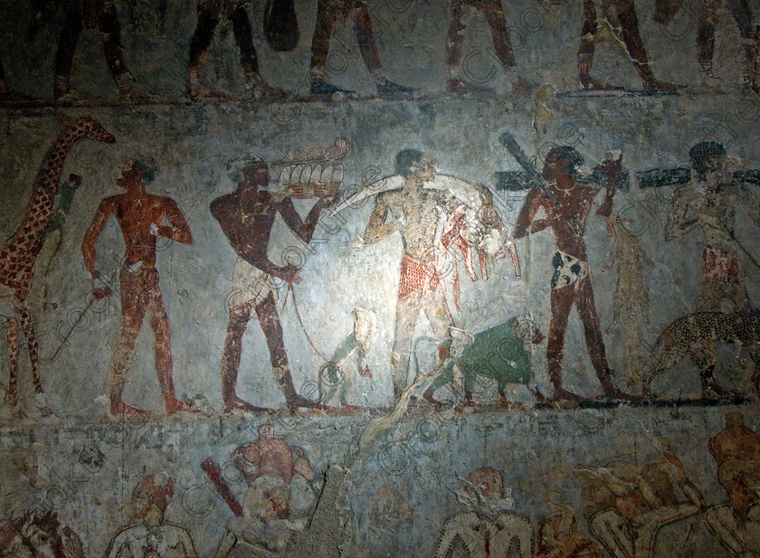 Rekhmire Tomb Painting EG075706JHP 
 Ancient Egypt Nobles Rekhmire Tomb Painting Tusks Ivory Baboon Exotic Expedition, one of many beautiful tomb decorations only lit by reflected sunlight amongst the Tombs of the Nobles on the West Bank of the River Nile at Luxor. Rekhmire Tomb-Chapel [Tomb 100] was a Vizier during the reigns of Tuthmosis 11 and Amenhotep 11, part of a family with long service as administrators at Thebes. This highly decorated cruciform tomb is full images giving great understanding of Egyptian foreign policy, taxation and the justice system. The area around the Tombs has now been greatly improved with removal of many of the old modern houses and entry to these fascinating burial sites made more accessible. 
 Keywords: Egypt, Egyptian, ancient, Luxor, Tombs, Nobles, Thebes, River Nile, West Bank, Old Qurna, Sheikh Abd’el-Qurna, landscape, Rekhmire, Vizier, administrator, tomb, painting, foreign, gifts, ivory, tusk, baboon, monkey, cheetah, giraffe, colourful, colorful, colours, colors, painted, artificial, light, digital