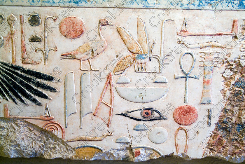 Merneptah Painted Relief EG051892JHP 
 Temple Merneptah Ancient Egyptian Hieroglyphs Duck Sedge Bee Ankh Henen in museum annex for pharaoh who reigned around 1212-1202BC, is on the West Bank of the Nile at Luxor and was recently opened not long before these photos were taken in 2005. It is a mixture of open air and covered museum exhibits with some remains of the temple area with column bases. Some of the coloured wall reliefs are exquisite and because of the natural light available were easily photographed despite being inside. There is also a replica of the famous Israeli Stele, the original being in the Cairo Museum. This is a visit that would have to made outwith the usual West Bank package tour although easily arranged and is easily found next to the Ramasseum. 
 Keywords: Egypt, Luxor, Thebes, West Bank, River Nile, temple, Merneptah, Merenptah, pharaoh, 1212BC, landscape, upright, history, ancient, Egyptian, antiquity, archaeology, Egyptology, restoration, wall, reliefs, painted, ankh, duck, snake, nebet, henen, djed, ra, sun, eye, bit, bee, hebr, rush, colourful, colorful, colours, colors, hieroglyphs