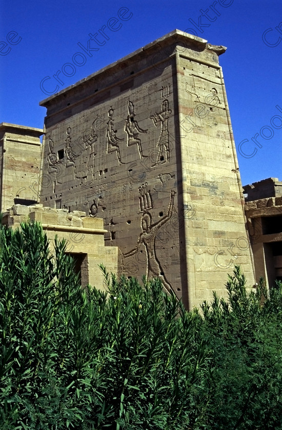 Aswan Philae EG96171Ejhp 
 Philae Temple Ancient Egypt First pylon Aswan island oleander bushes was established late in the history of Egypt being mainly Ptolemaic, eventually closing as a religious site around 550AD and being located on an island had remained remarkably untouched. Being relocated onto the Island of Agilkia on the River Nile near Aswan, to save it being flooded after the completion of the High Dam, it is perhaps one of the loveliest and most complete classic Egyptian temples to visit with a peaceful spirituality lacking in many of the land based sites. 
 Keywords: Egypt, Aswan, River Nile, Nubia, Philae Temple, island, pylons, carvings, Ptolemy, Ptolemaic, Isis, cult, relocated, rescued, High Dam, landscape, upright, history, ancient, Egyptian, antiquity, archaeology, Egyptology, Agilkia Island, motorboat, water, beautiful, serene, peaceful, 1996, slide, film, Fuji, RDP, Nikon, FM2, FG20, manual, 35mm, scanned, scan