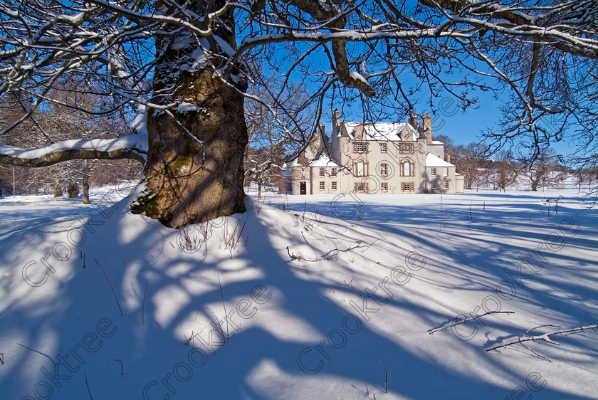 Leith Hall Tree TO173025JHP 
 Leith Hall Scotland National Trust Snow House White Sunshine Oak Tree scene near Kennethmont is an attractive homely Scottish mansion of the Leith-Hay family evolving over 300 years from 1650 until the mid-20th century if perhaps one of the less well known properties in the North east of Scotland. All the families furniture and paintings are part of the property along with an extensive walled garden and marked walkways. Any of my photographs are for scenic/tourist use only and cannot be used for product endorsement without the explicit permission of the NTS. Please contact their Edinburgh Head Office at Wemyss House, 28 Charlotte Square, Edinburgh, EH2 4ET. This National Trust for Scotland property is situated about 1 mile from Kennethmont, off B9002 Insch/Huntly and is open to the public on a restricted by appointment basis but the grounds are normally open all year round. 
 Keywords: Scotland, Scottish, Aberdeenshire, Grampian, Kennethmont, Leith Hall, National Trust for Scotland, house, landscape, snow, winter, large, oak, tree, lawn, front, turrets
