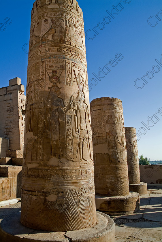 Kom Ombo Columns EG052472JHP 
 Egyptian Kom Ombo Ptolemaic Temple Columns Carved Painted Sunlight Upright Photo by the River Nile just north of Aswan and a regular visit on all Nile Cruises, was principally built by Ptolemy V of Silsilah sandstone. Dedicated to two Gods – Sobek, the crocodile and Horus, the falcon and although it has been damaged over the years, mainly through slipping into the River Nile and some structural damage owing to earthquakes, there are still some wonderful colourful reliefs of the most detailed and delicate style. 
 Keywords: Egypt, East Bank, River Nile, Kom Ombo, Temple, hypostyle hall, pylon, columns, bas reliefs, coloured, colored, colours, colors, Silsilah, sandstone, upright, history, archaeology, ancient, Egyptian, Egyptology, Ptolemaic, Ptolemy, Horus, Haroeris, Harwer, Sobek, Hathor, carvings, detailed, delicate, beautiful, fine