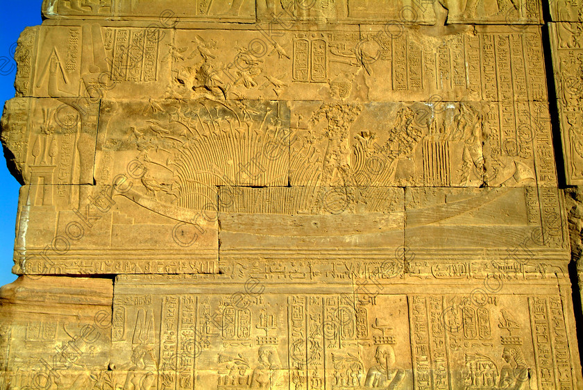 Kom Ombo Relief EG052521JHP 
 Kom Ombo Ptolemaic Temple Boat Fowling Marshes Ducks Reeds Carving Wall on the River Nile just north of Aswan and a regular visit on all Nile Cruises, was principally built by Ptolemy V of Silsilah sandstone. Dedicated to two Gods – Sobek, the crocodile and Horus, the falcon and although it has been damaged over the years, mainly through slipping into the River Nile and some structural damage owing to earthquakes, there are still some wonderful colourful reliefs of the most detailed and delicate style. 
 Keywords: Egypt, East Bank, River Nile, Kom Ombo, Temple, pylon, bas reliefs, coloured, colored, colours, colors, Silsilah, sandstone, landscape, hieroglyphs, barque, Amun, reeds, papyrus, birds, hunting, history, archaeology, ancient, Egyptian, Egyptology, Ptolemaic, Ptolemy, carvings, detailed, delicate, beautiful, fine