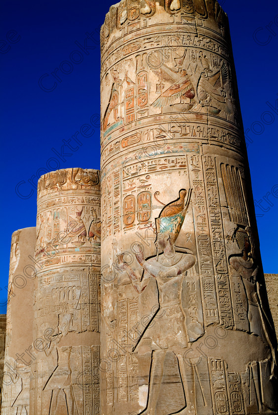 Kom Ombo Painted Column EG052462JHP 
 Kom Ombo Pharaoh Ptolemy Temple Painted Column Carvings Heiroglyphs Photograph on the River Nile just north of Aswan and a regular visit on all Nile Cruises, was principally built by Ptolemy V of Silsilah sandstone. Dedicated to two Gods – Sobek, the crocodile and Horus, the falcon and although it has been damaged over the years, mainly through slipping into the River Nile and some structural damage owing to earthquakes, there are still some wonderful colourful reliefs of the most detailed and delicate style. 
 Keywords: Egypt, East Bank, River Nile, Kom Ombo, Temple, hypostyle hall, pylon, columns, bas reliefs, coloured, colored, colours, colors, Silsilah, sandstone, upright, hieroglyphs, cartouche, history, archaeology, ancient, Egyptian, Egyptology, crocodiles, Ptolemaic, Ptolemy, Horus, Haroeris, Harwer, Sobek, Hathor, wadjet, serpent, winged, serpent, carvings, detailed, delicate, beautiful, fine