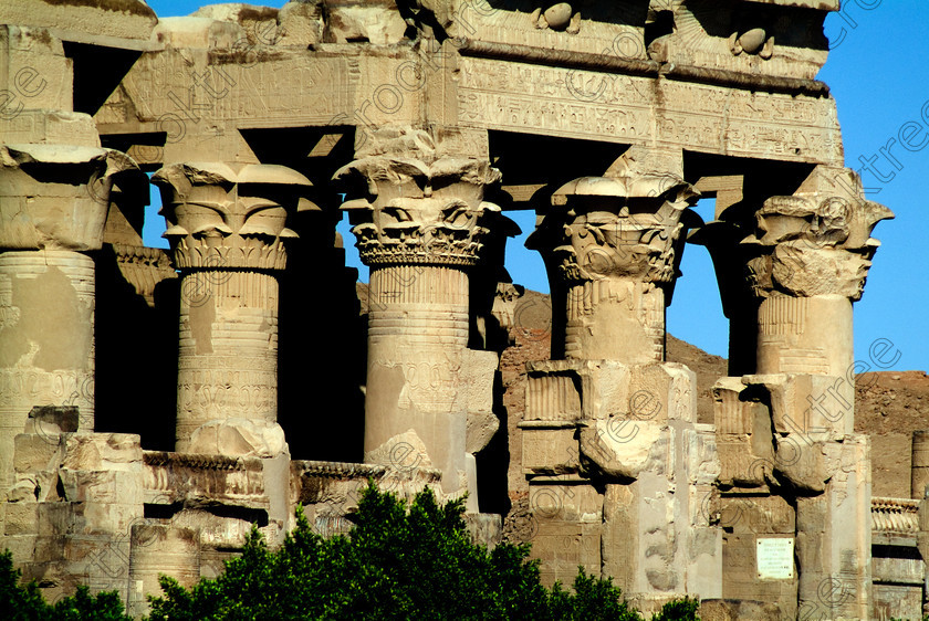 Kom Ombo Temple EG052452JHP 
 Kom Ombo Ptolemaic Temple Hypostyle Hall Floral Capitals Closeup Telephoto taken from cruiseboat berth on the River Nile just north of Aswan and a regular visit on all Nile Cruises, was principally built by Ptolemy V of Silsilah sandstone. Dedicated to two Gods – Sobek, the crocodile and Horus, the falcon and although it has been damaged over the years, mainly through slipping into the River Nile and some structural damage owing to earthquakes, there are still some wonderful colourful reliefs of the most detailed and delicate style. 
 Keywords: Egypt, East Bank, River Nile, Kom Ombo, Temple, hypostyle hall, columns, bas reliefs, coloured, colored, colours, colors, Silsilah, sandstone, landscape, capitals floral, closeup, history, archaeology, ancient, Egyptian, Egyptology, Ptolemaic, carvings, detailed, delicate, beautiful, fine