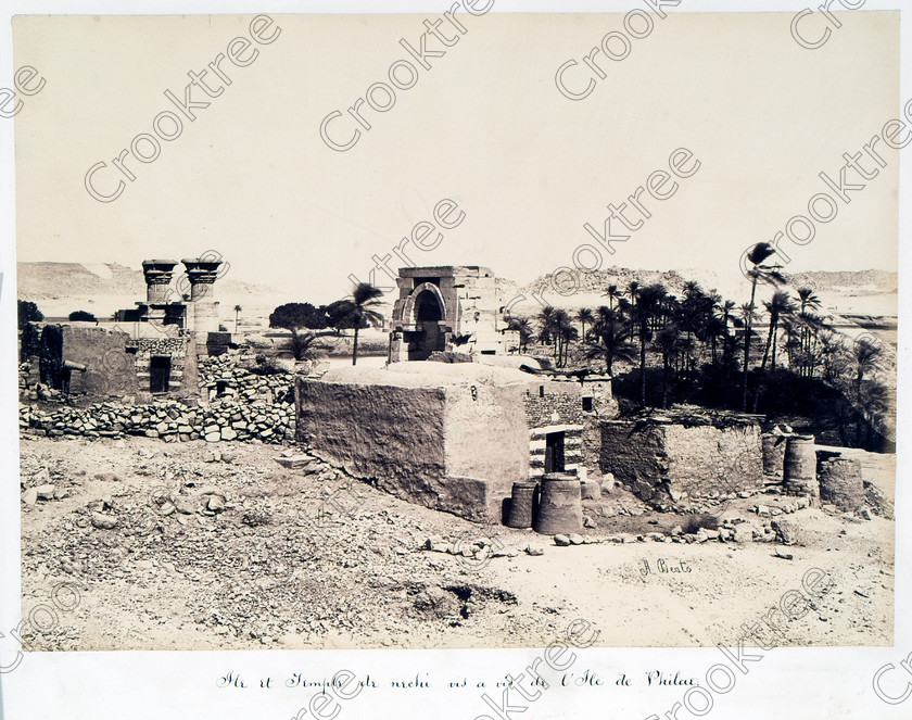 Beato Biga near Philae 31JHP05 
 Biga Island Philae Temple View Nile Egypt Beato Old Victorian Albumen Print with Philae on its original island in the River Nile, dedicated to the Goddess Isis and here photographed by Antonio Beato, a Victorian photographer around 1890 and this copy is taken from his album called The Nile 1872. 
 Keywords: Egypt, Aswan, Nubia, River Nile, Philae, Temple, Island, Biga, water, history, antiquity, Egyptian, ancient, archaeology, Egyptology, landscape, Antonio Beato, Victorian, photographer, earliest, albumen, print, copy